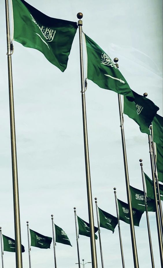 iin888m's tweet photo. حنا هل الوادي كوابيس الاخصام 
خطلان الايدي و الصعاب محلوله 

مثل السعودية مانكس لها اعلام 
اعلامنا ماتنكس اعلام دولة 

بوابه الوادي على الشارع العام 
رمز الكرم و المفخرة و الرجولة https://t.co/2968ZEgXPE