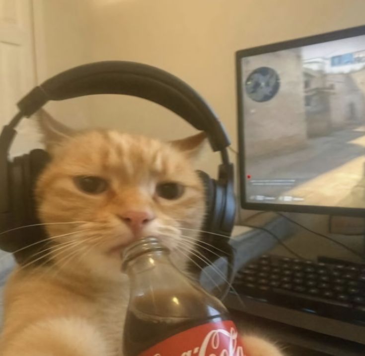 𝔟𝔞𝔯𝔞𝔩𝔩𝔬𝔠𝔞𝔰 tweet media