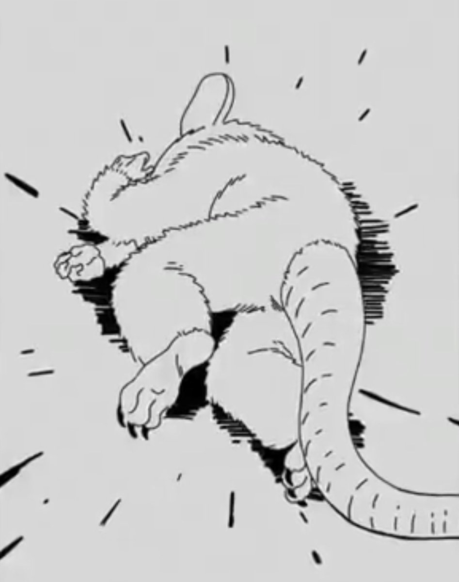 RE | BIO Follower 𝕏 tweet media