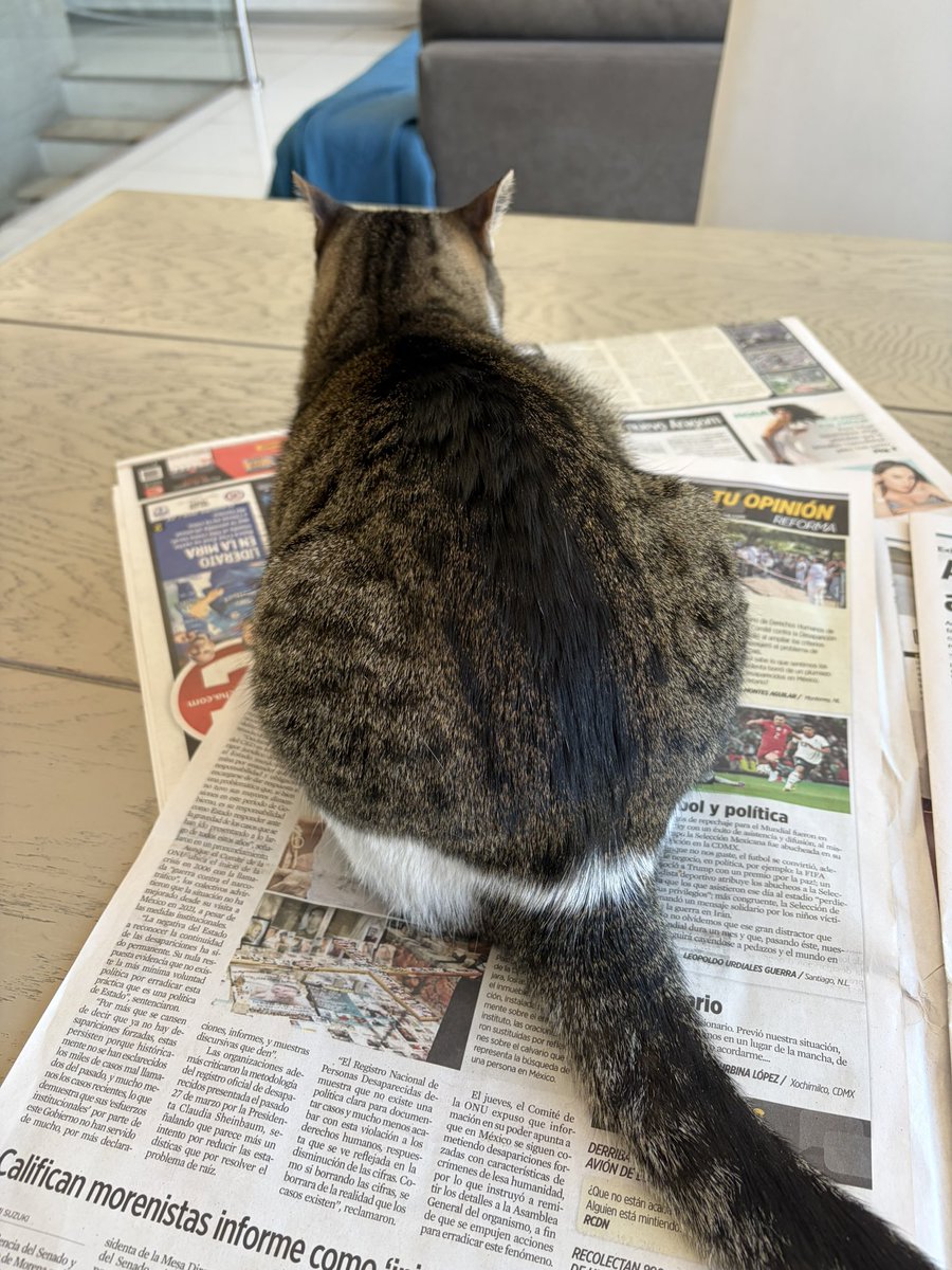 Fernando Belaunzarán tweet media