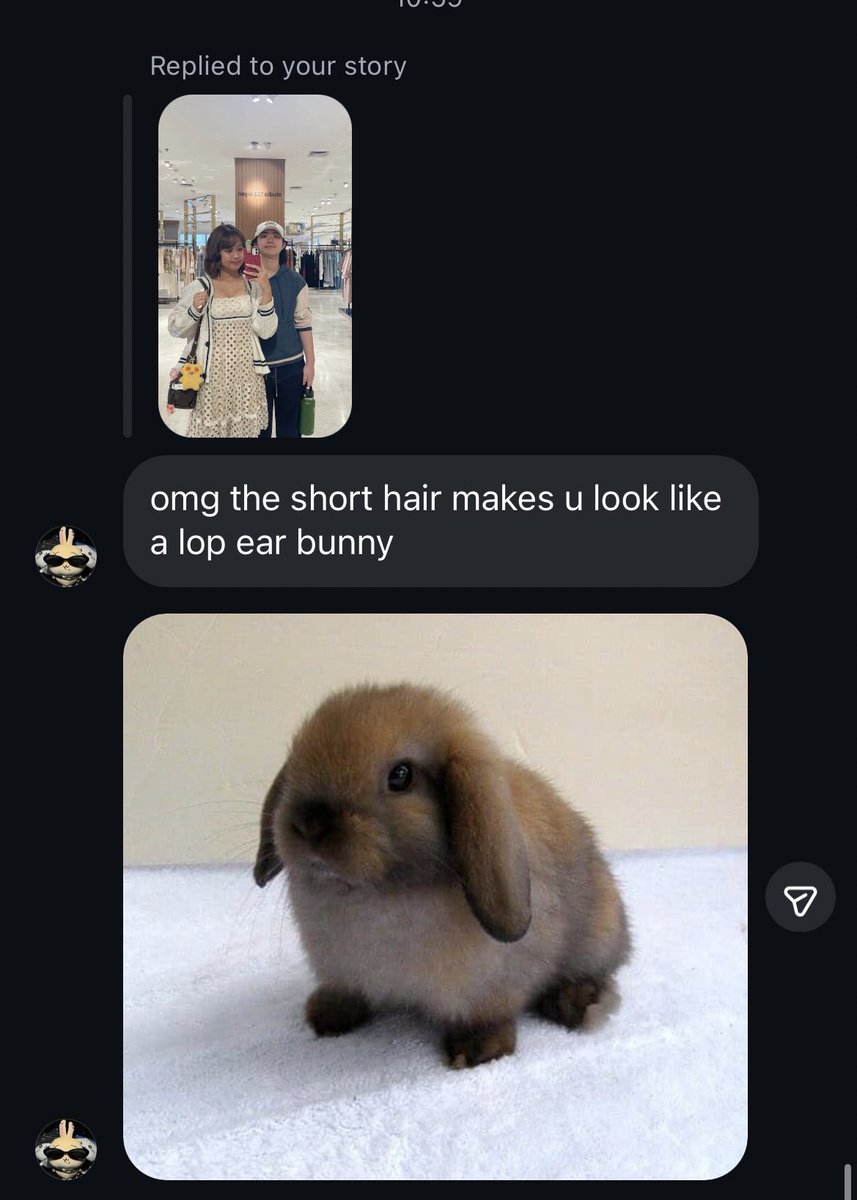 ˚⊱🪷⊰˚ tweet media