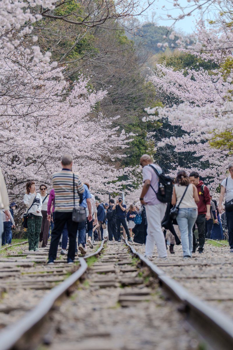 yasu@Constall tweet media