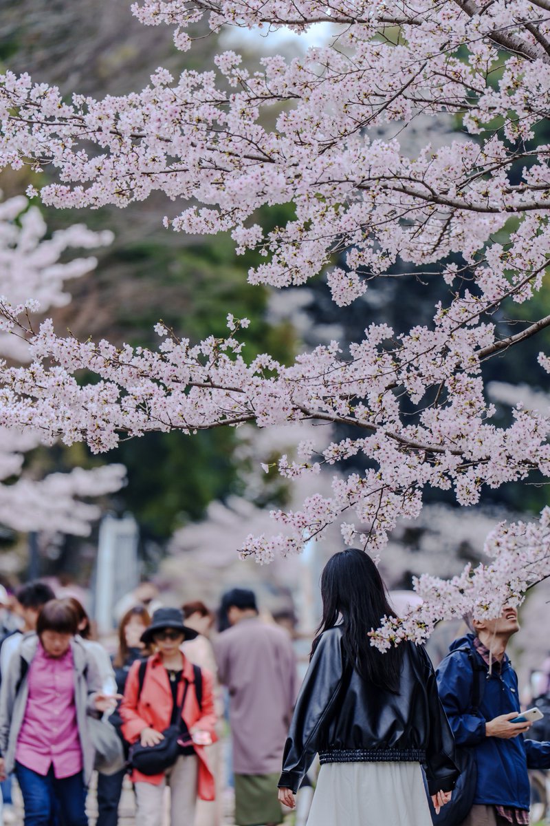 yasu@Constall tweet media