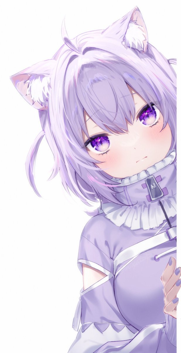 毒杯猫 tweet media