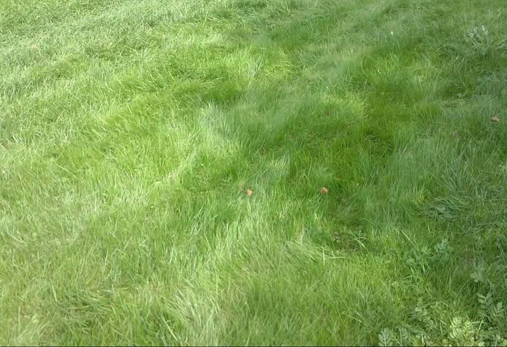 Rich Jenel. tweet media