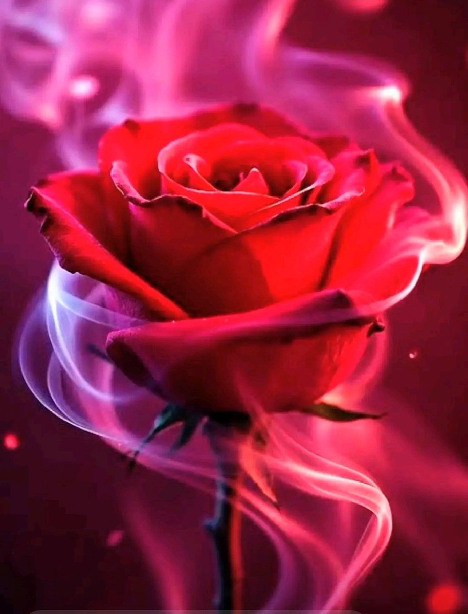 Nancy Horta tweet media