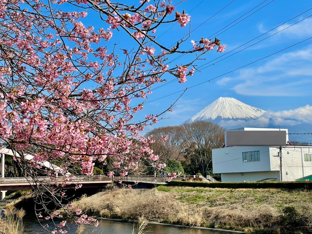 Alice_Chocolat tweet media