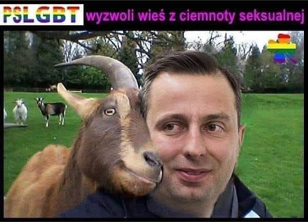 Piotr Langer tweet media