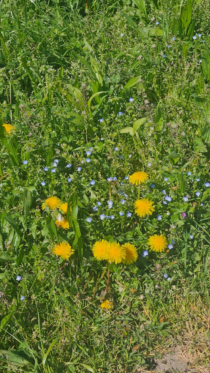 iamnotlexyu tweet media