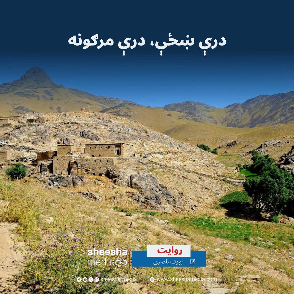 Sheesha Media tweet media