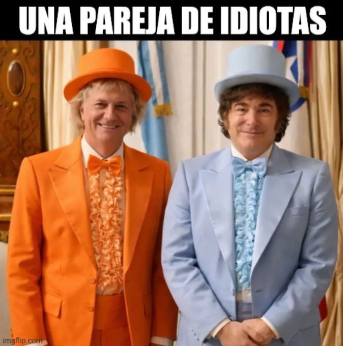 Paradistender tweet media