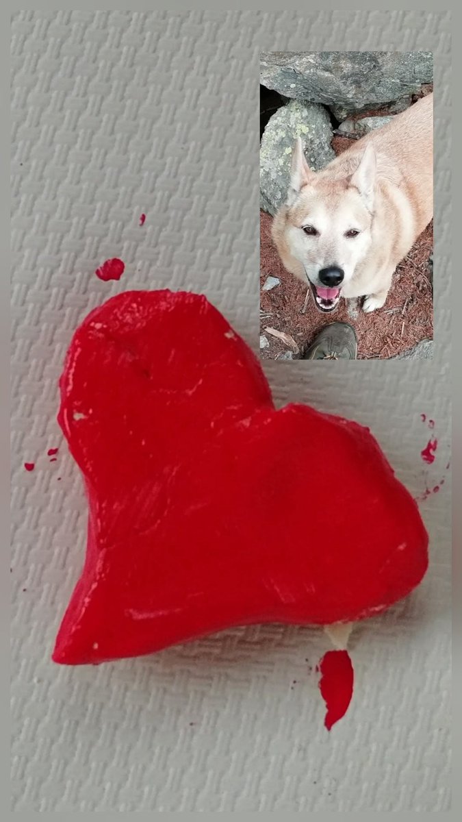 stefania borca tweet media