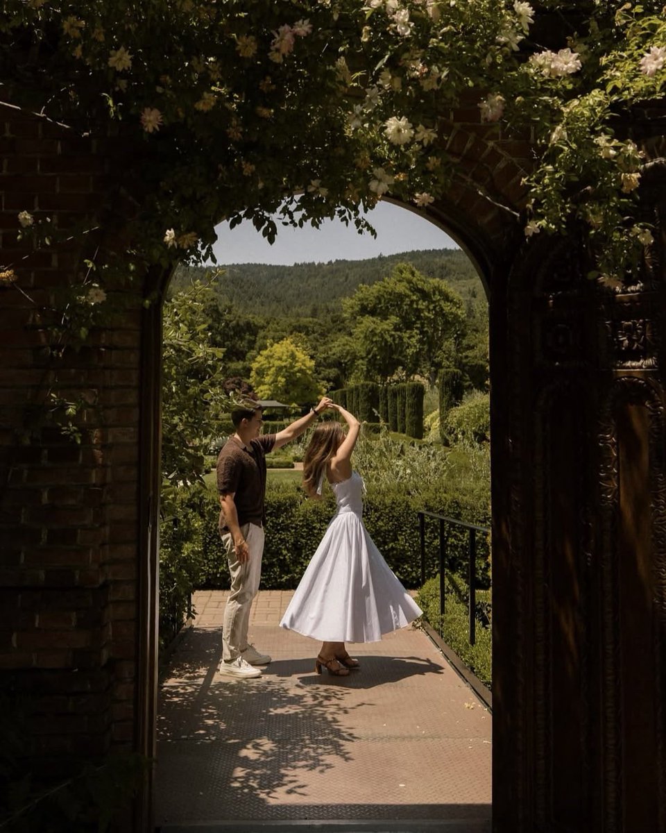 بحر 🌊 tweet media