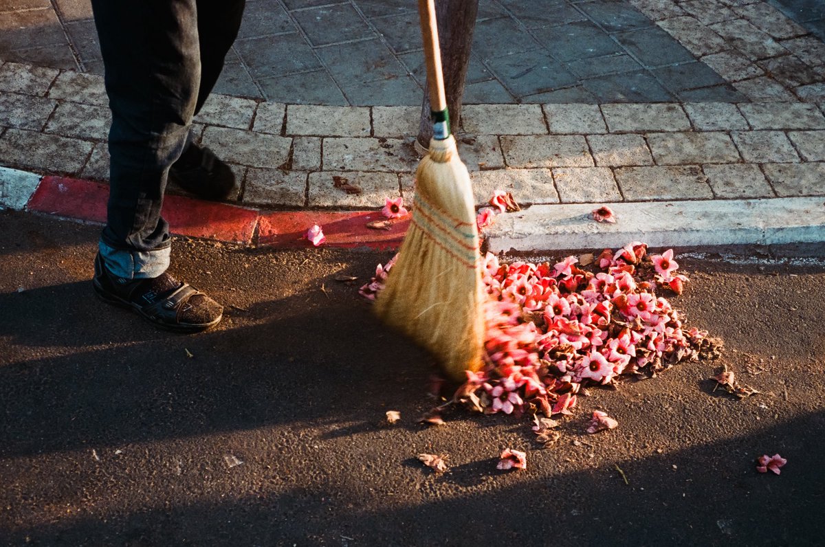 אלכסנדר זרצקי tweet media