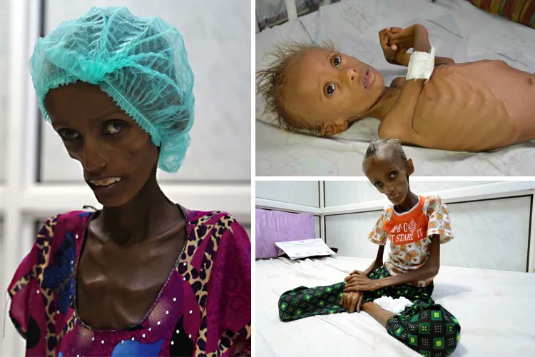 Tigin🇹🇷 tweet media