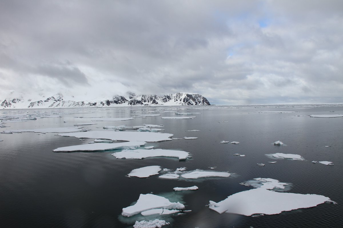 Alan Rhode tweet media