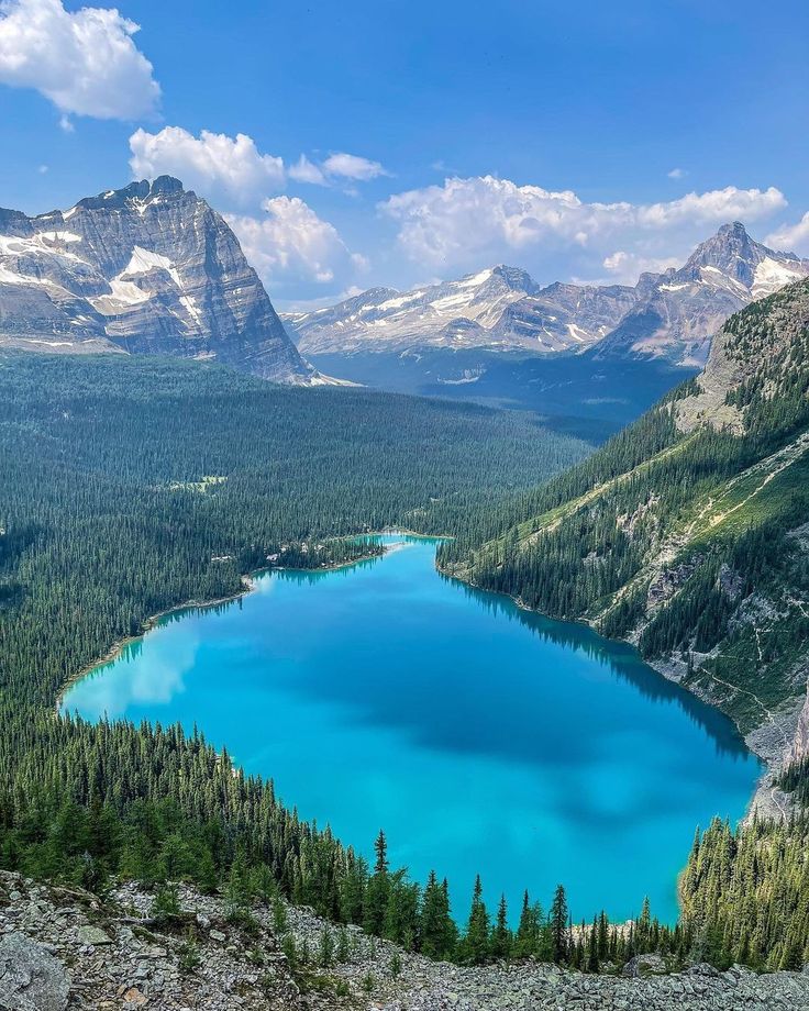 Magical views tweet media