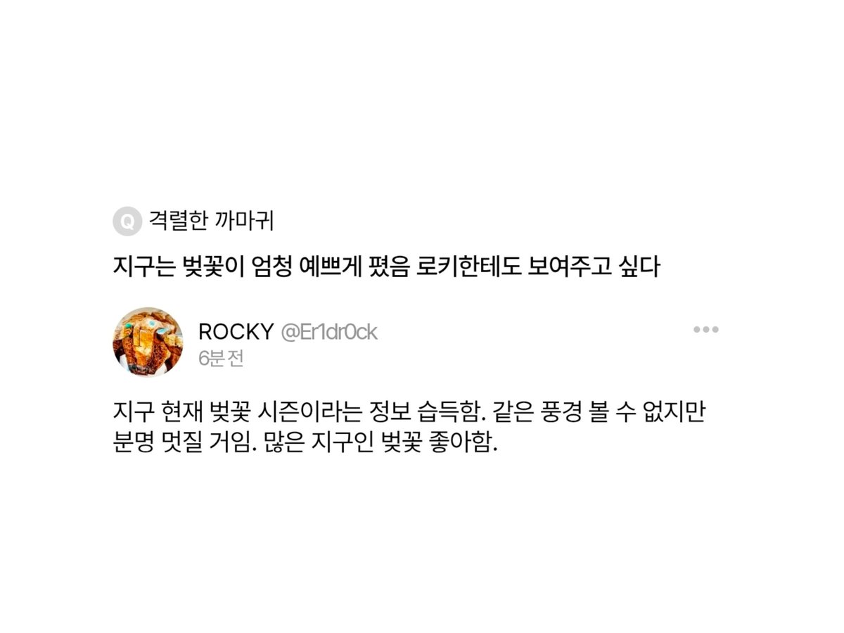 𝚁𝙾𝙲𝙺𝚈 tweet media