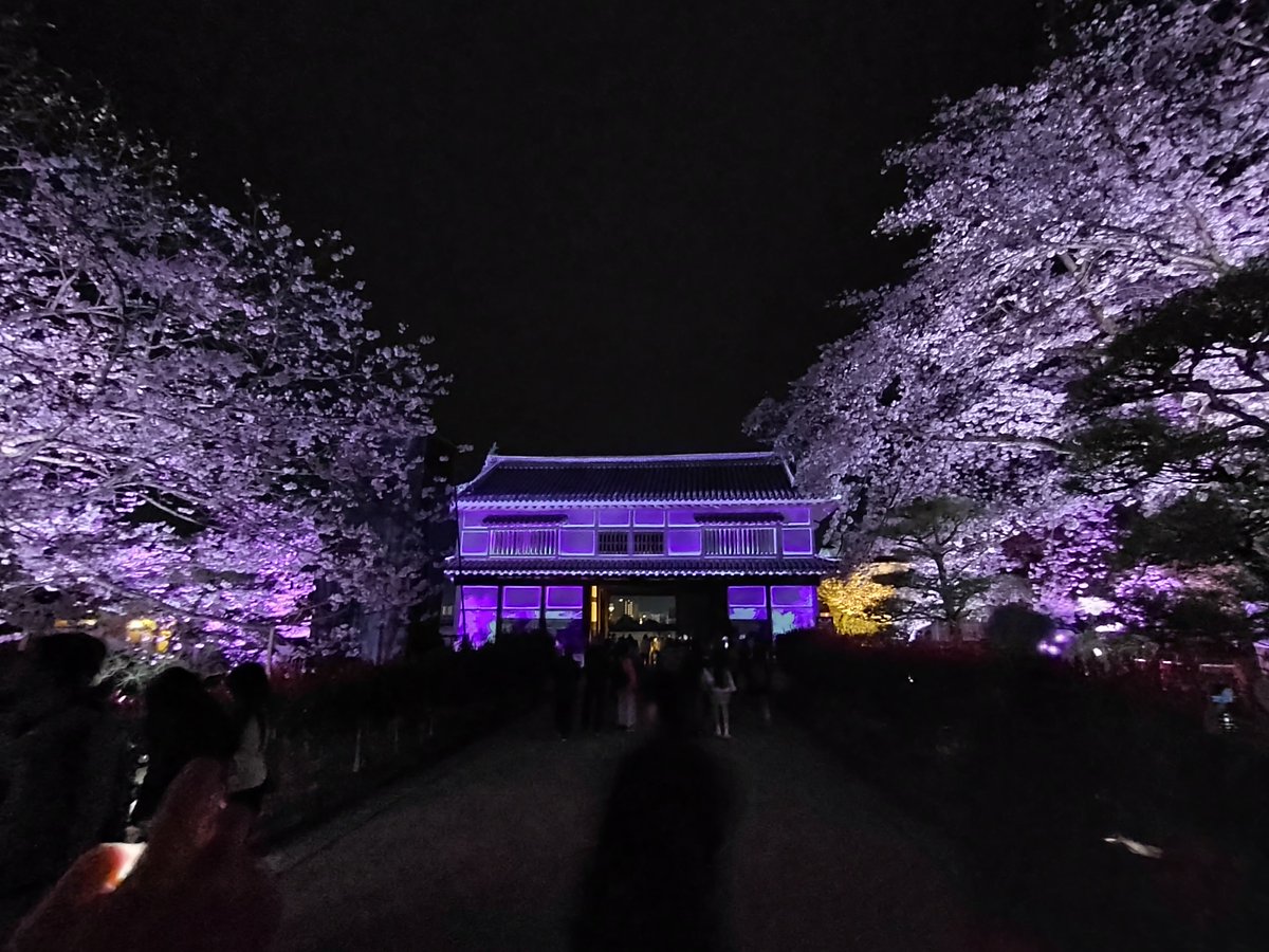 じゅんくどぅ tweet media