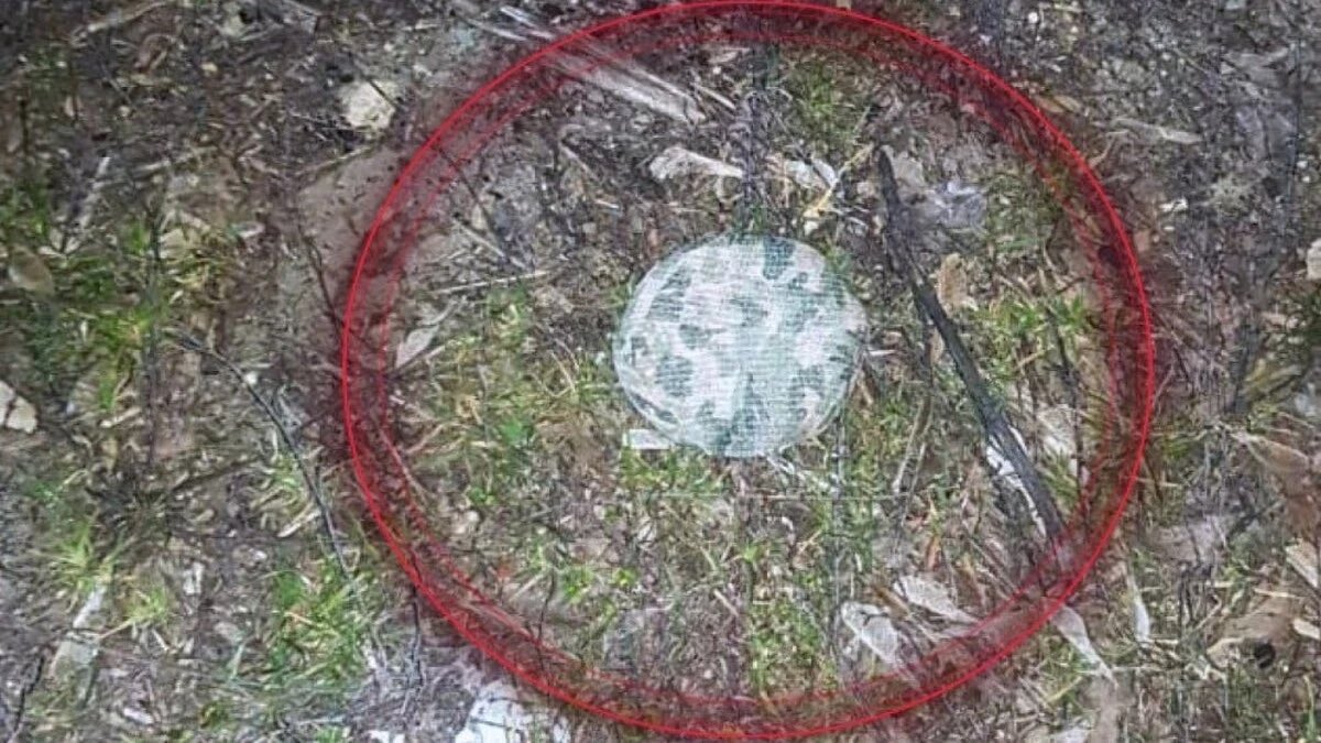 Гюндуз Мамедов/Gyunduz Mamedov tweet media