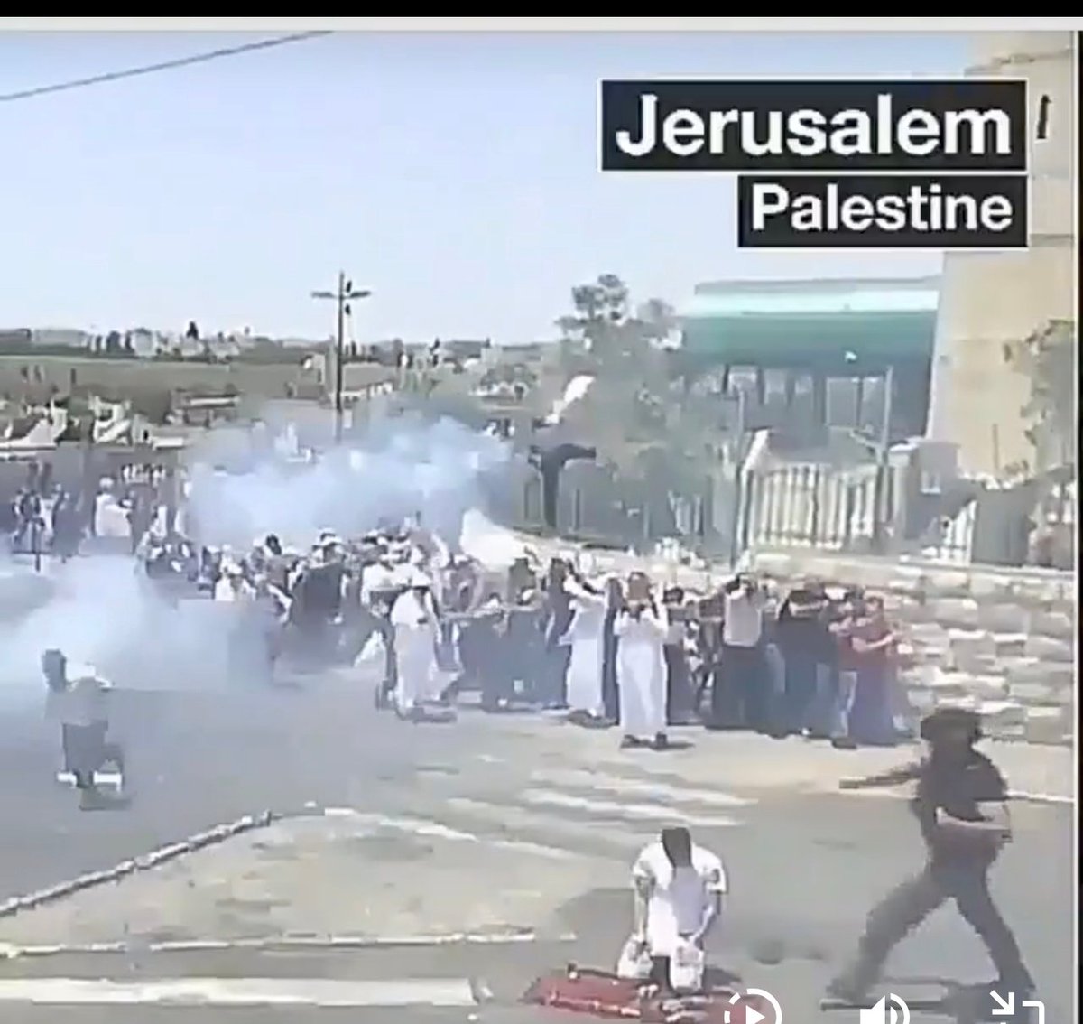 skillANAS tweet media