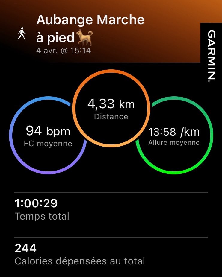 Didier FLECHE 🇧🇪🏊‍♂️🚴‍♂️🏃🏻‍♂️ (@flechedidier) on Twitter photo 