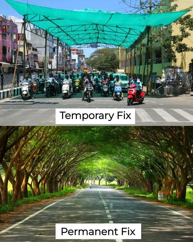 Mountain Cabins tweet media