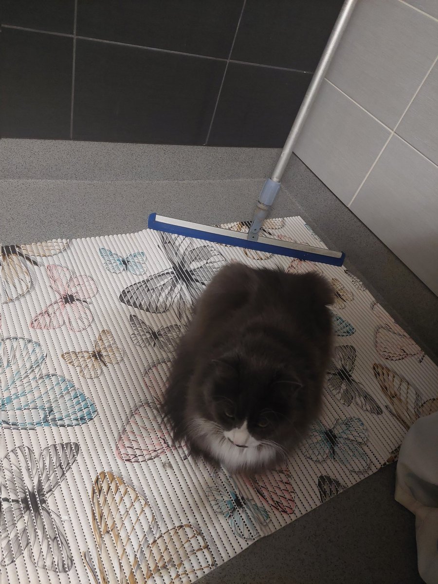 the humble 0 in my bathroom