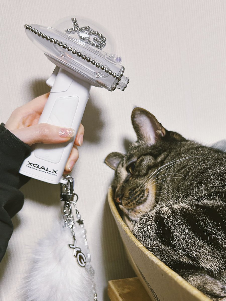 𝙇𝙊𝙉 tweet media