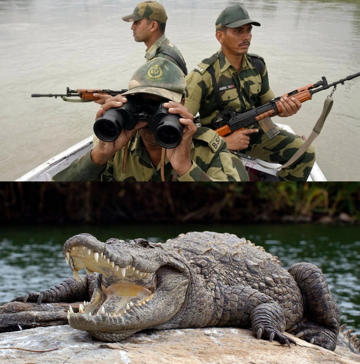 News IADN tweet media