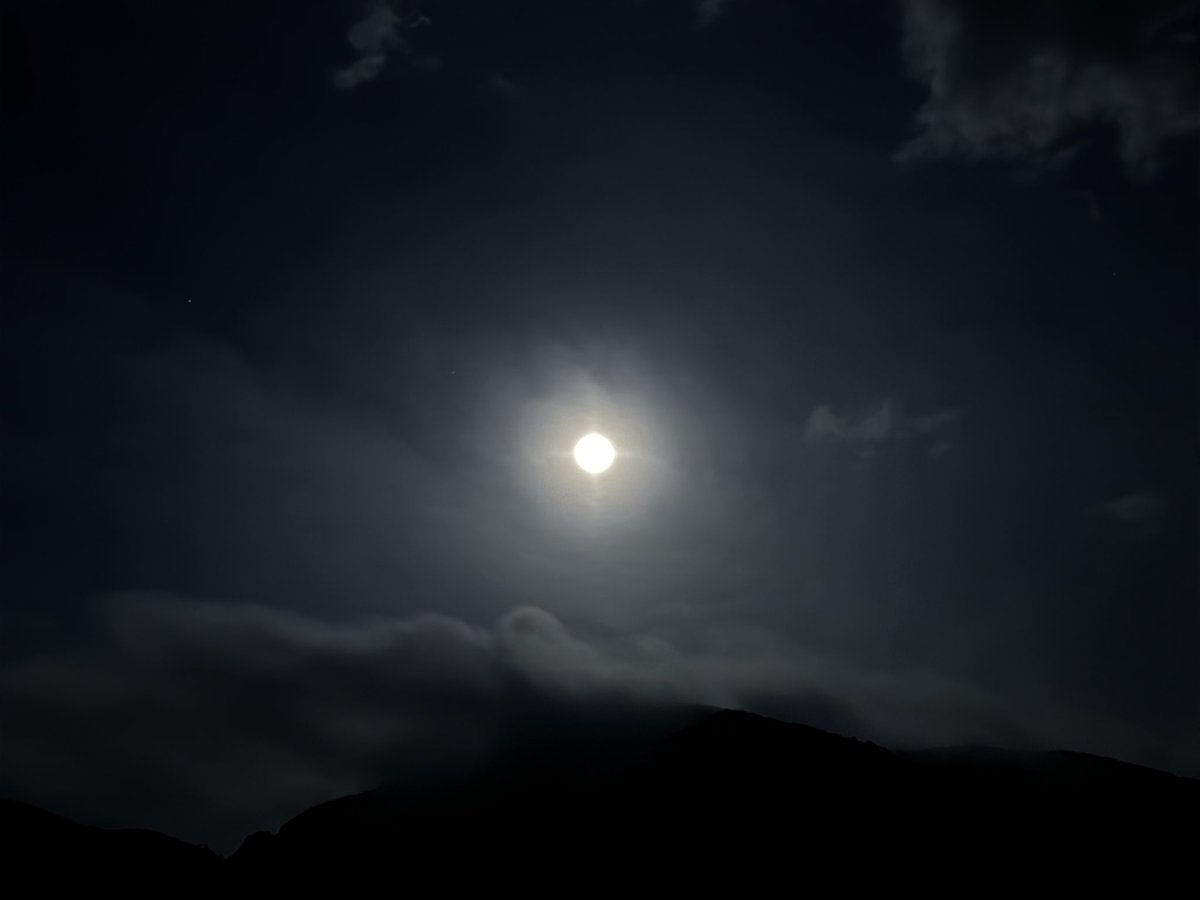 みなみ🐬✨💐 tweet media