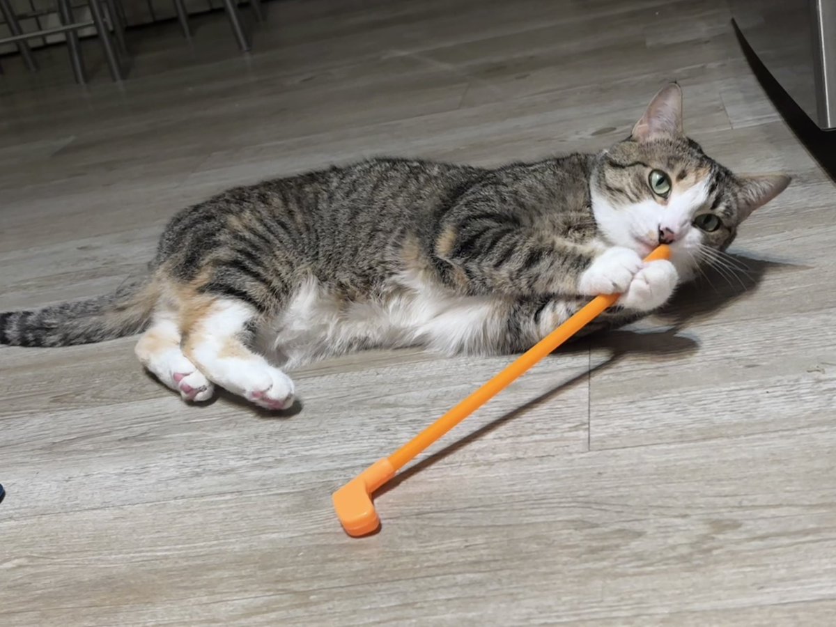 Just Josie tweet media