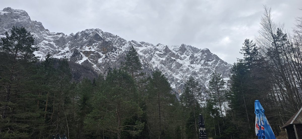 Reisefüchse tweet media