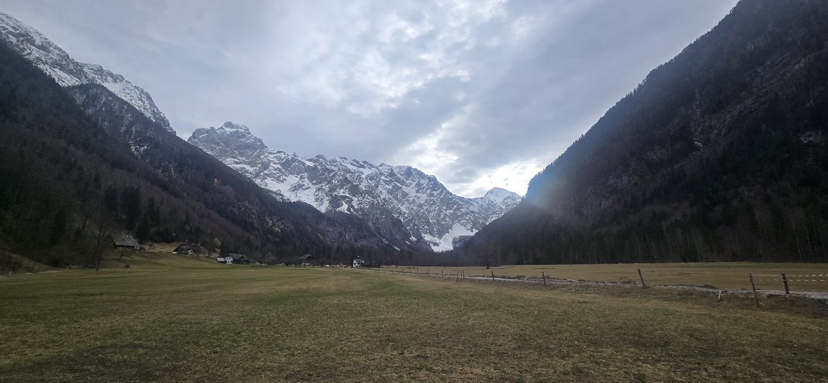 Reisefüchse tweet media