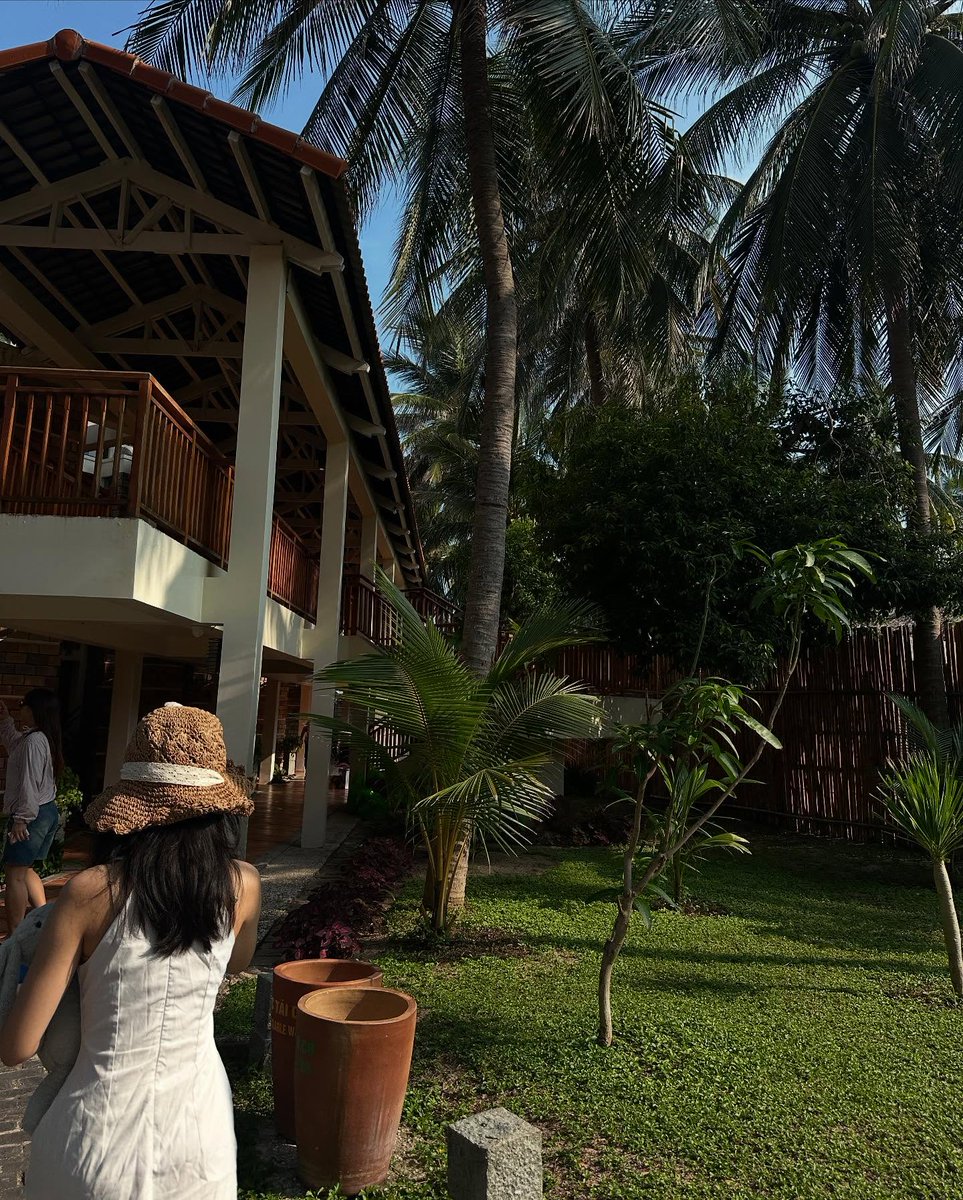 Thomas Hansen tweet media