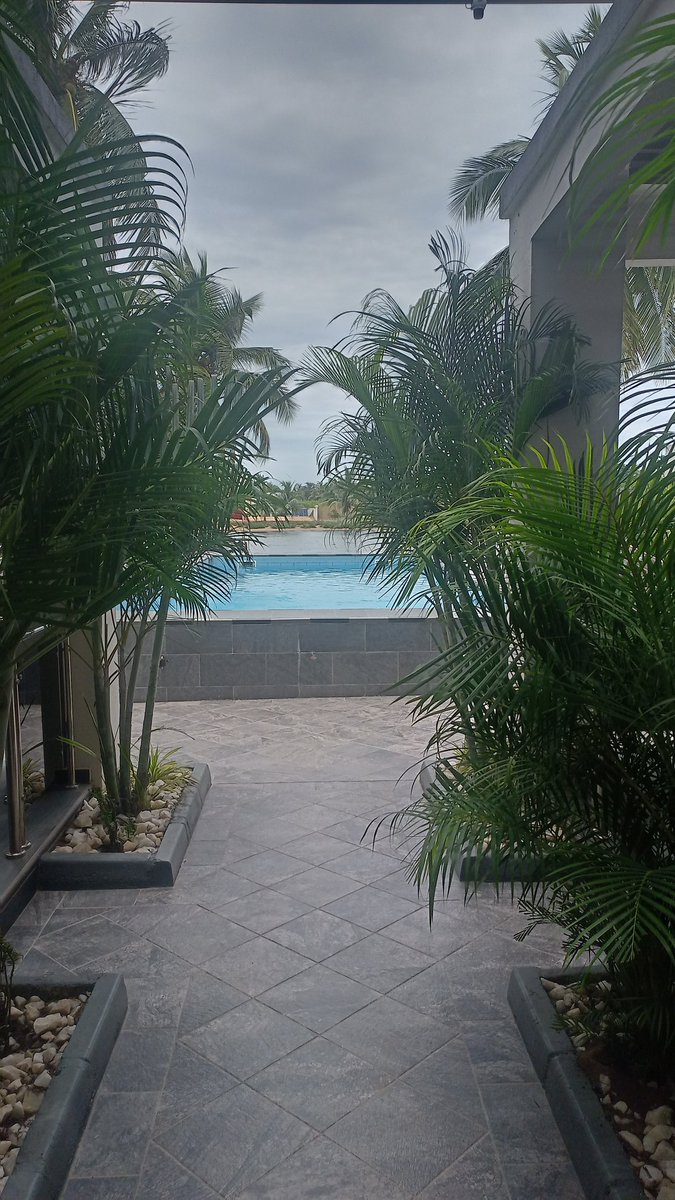 Yaw Adjei-Mintah tweet media