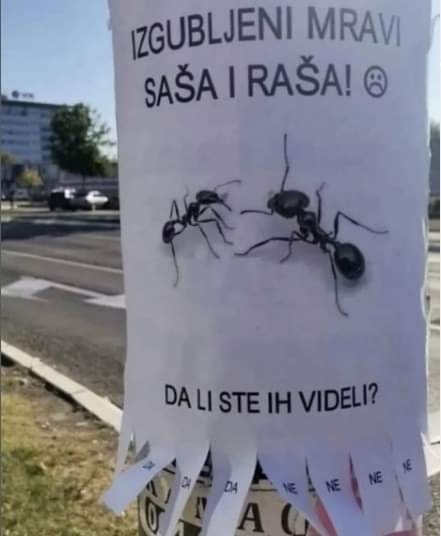 ☦𝕴𝖌𝖔𝖗☦ tweet media