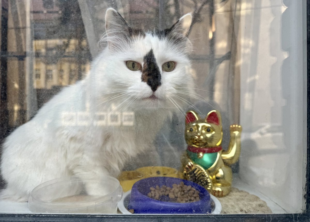 Стас Юрченко tweet media