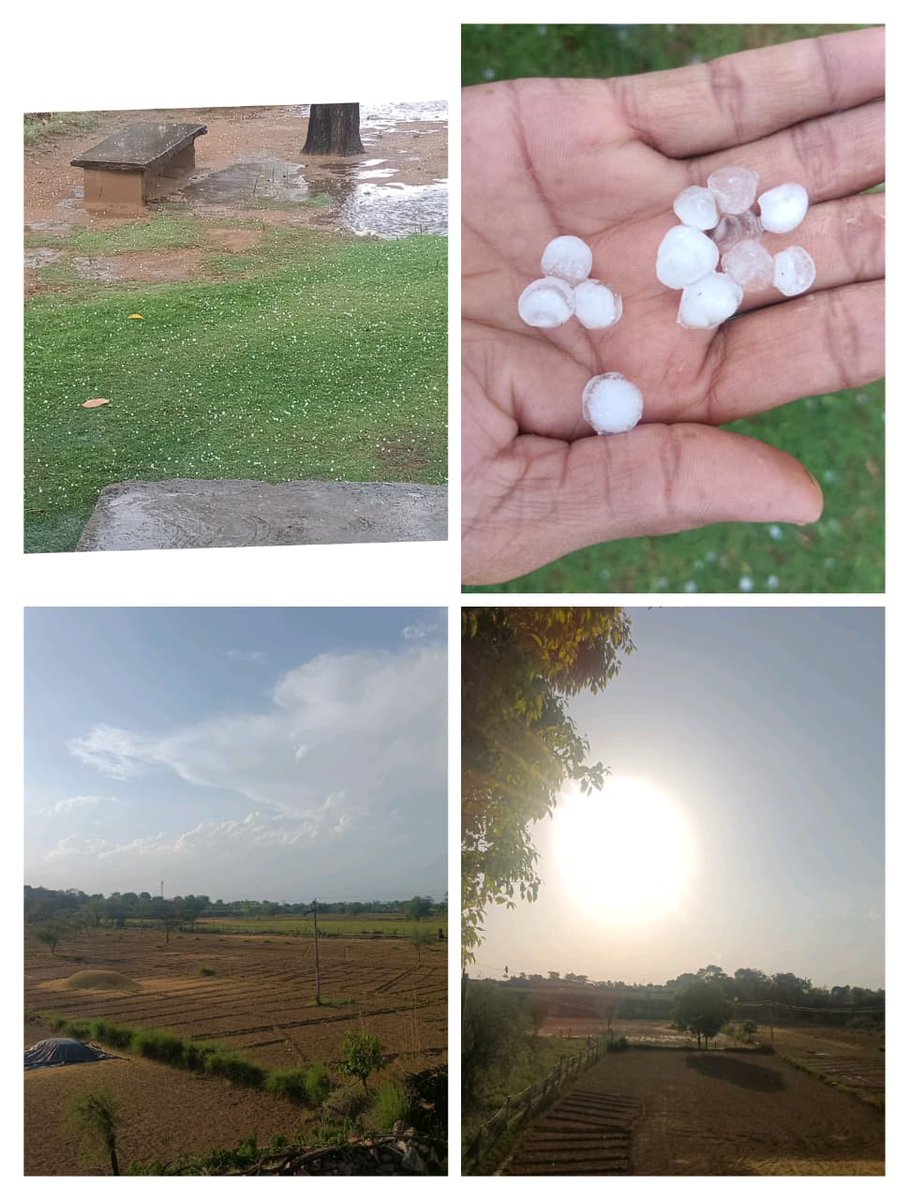 RMeena32621's tweet photo. Big impact of climate change, there is only 10 minutes difference in the first/second &amp; third/fourth pic. @RajCMO @DrKirodilalBJP 
आज पूर्वी राजस्थान में बेमौसम बारिश और ओलावृष्टि की वजह से फसलों को काफी नुकसान हुआ है किसानों की पूरी मेहनत खराब हो गई। https://t.co/W2N8iJaL28