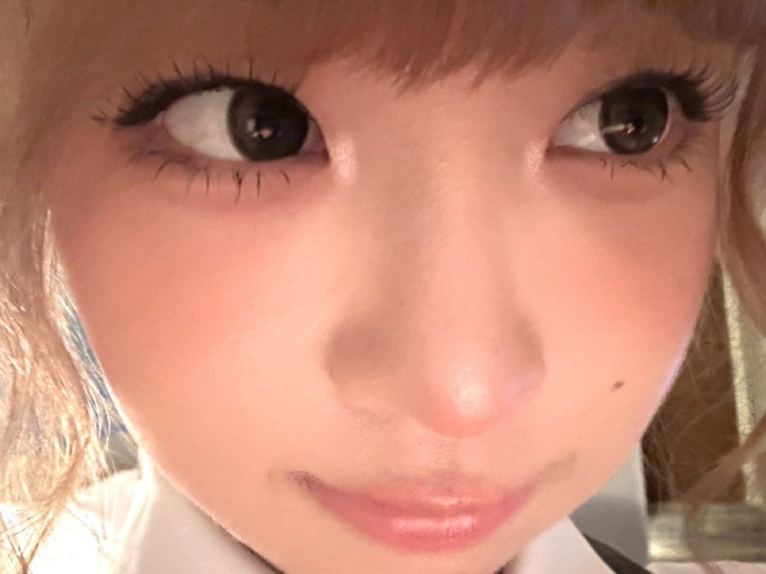 (๑ᵔ⤙ᵔ๑) tweet media