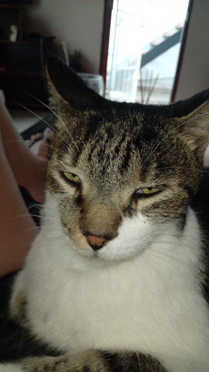 Zamalek2 🍺🍀💋 tweet media