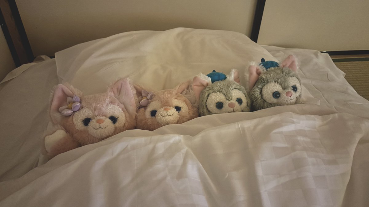 やわらかに tweet media