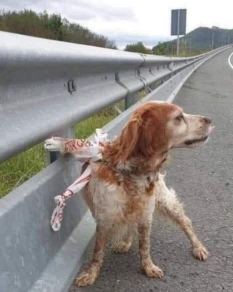 Patrizia💙 tweet media