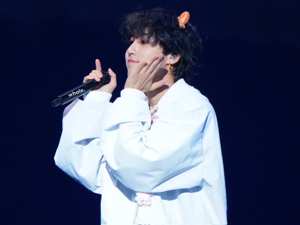 𝙬𝙝𝙖𝙡𝙚. tweet media