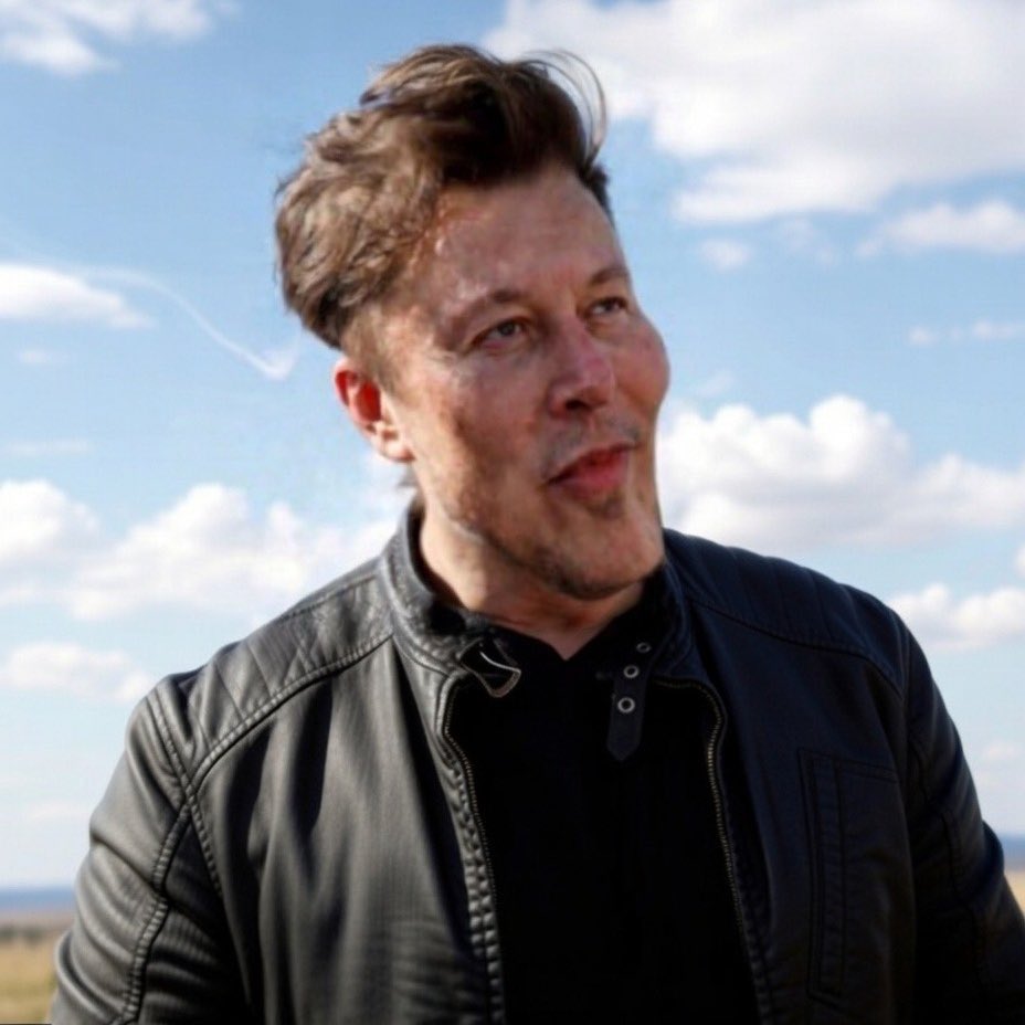 erroneous input tweet media