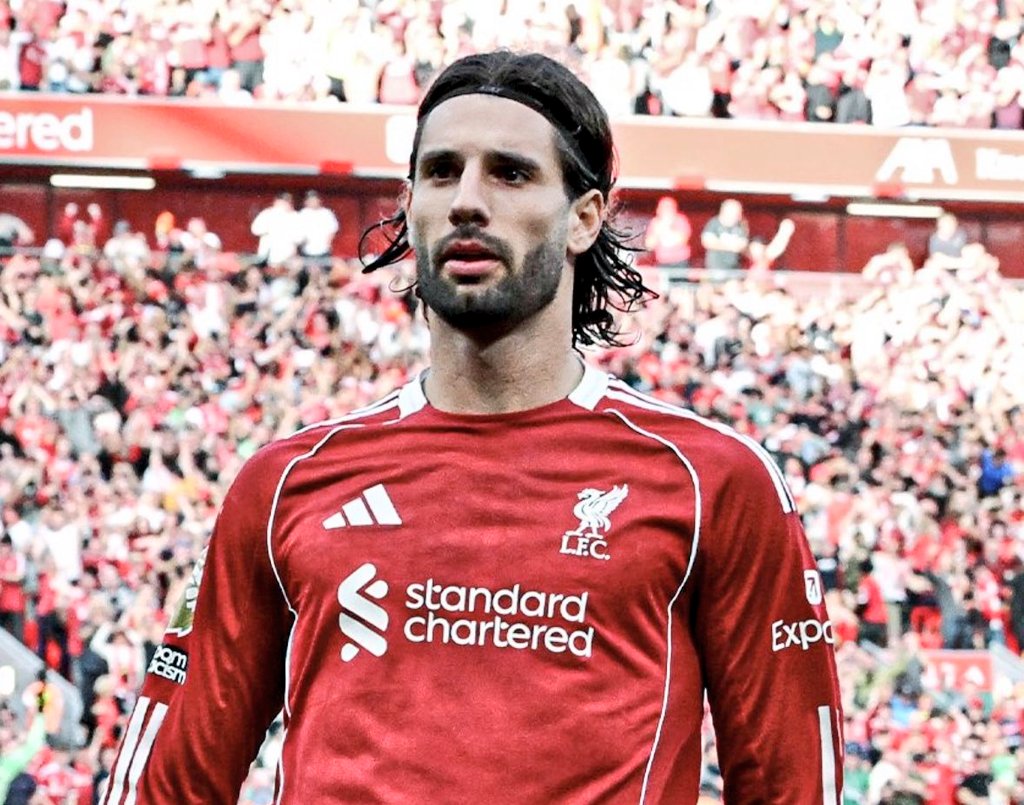 木漏れ日 tweet media