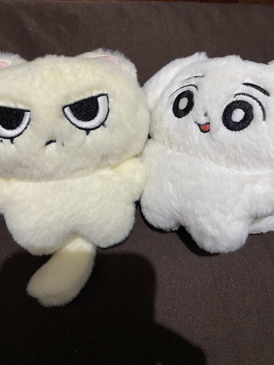 d | mention after dm pls tweet media