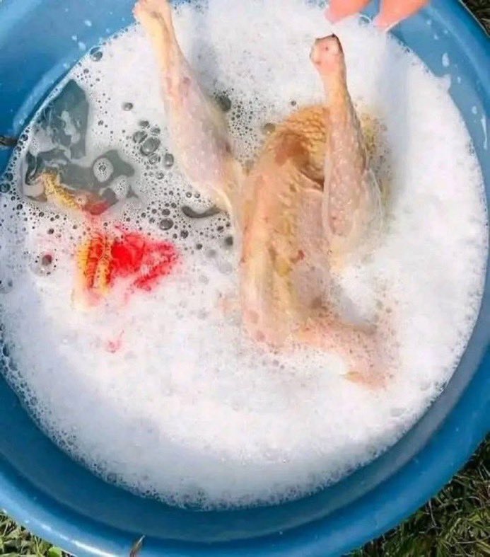 𝙎𝙖𝙢 💔🦅 tweet media