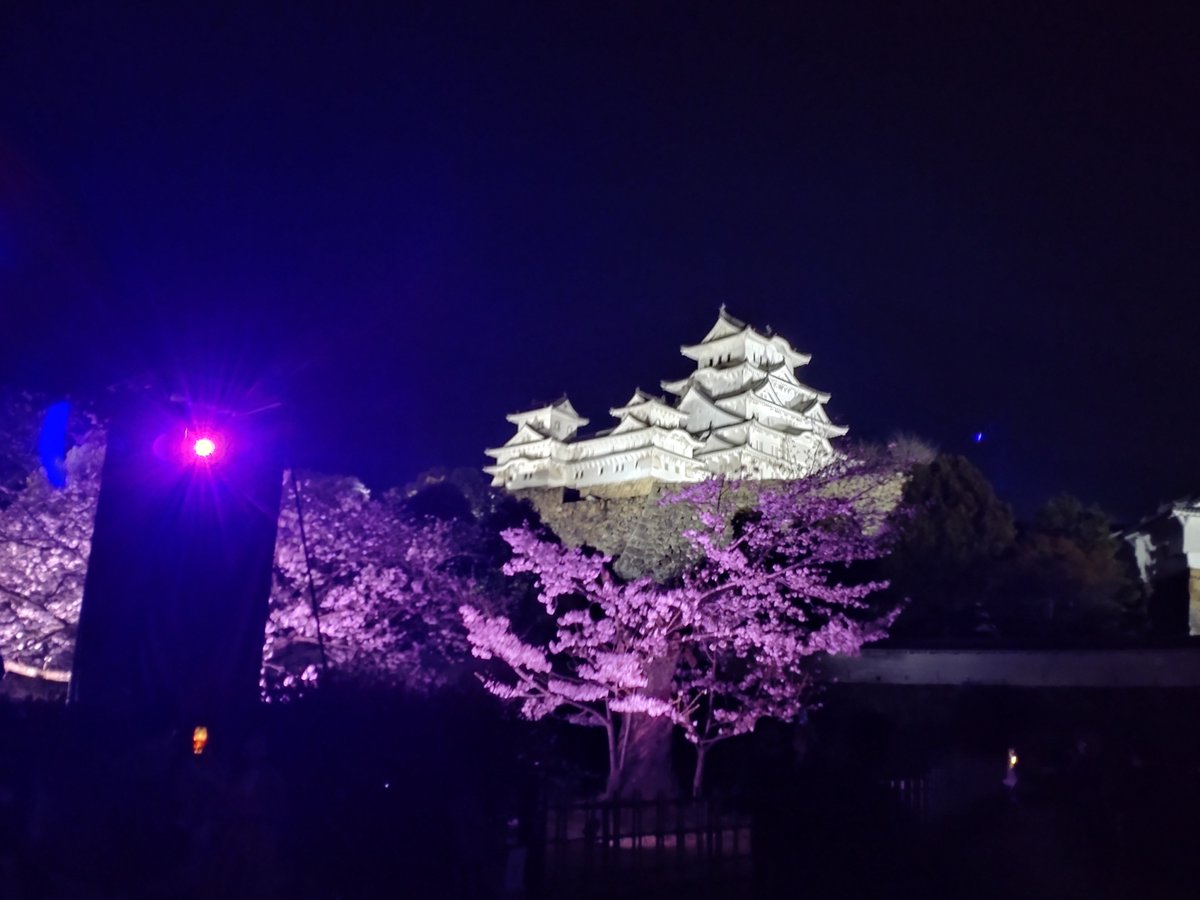 じゅんくどぅ tweet media