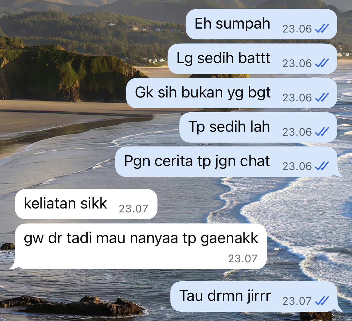 nadia¹ᴰ tweet media